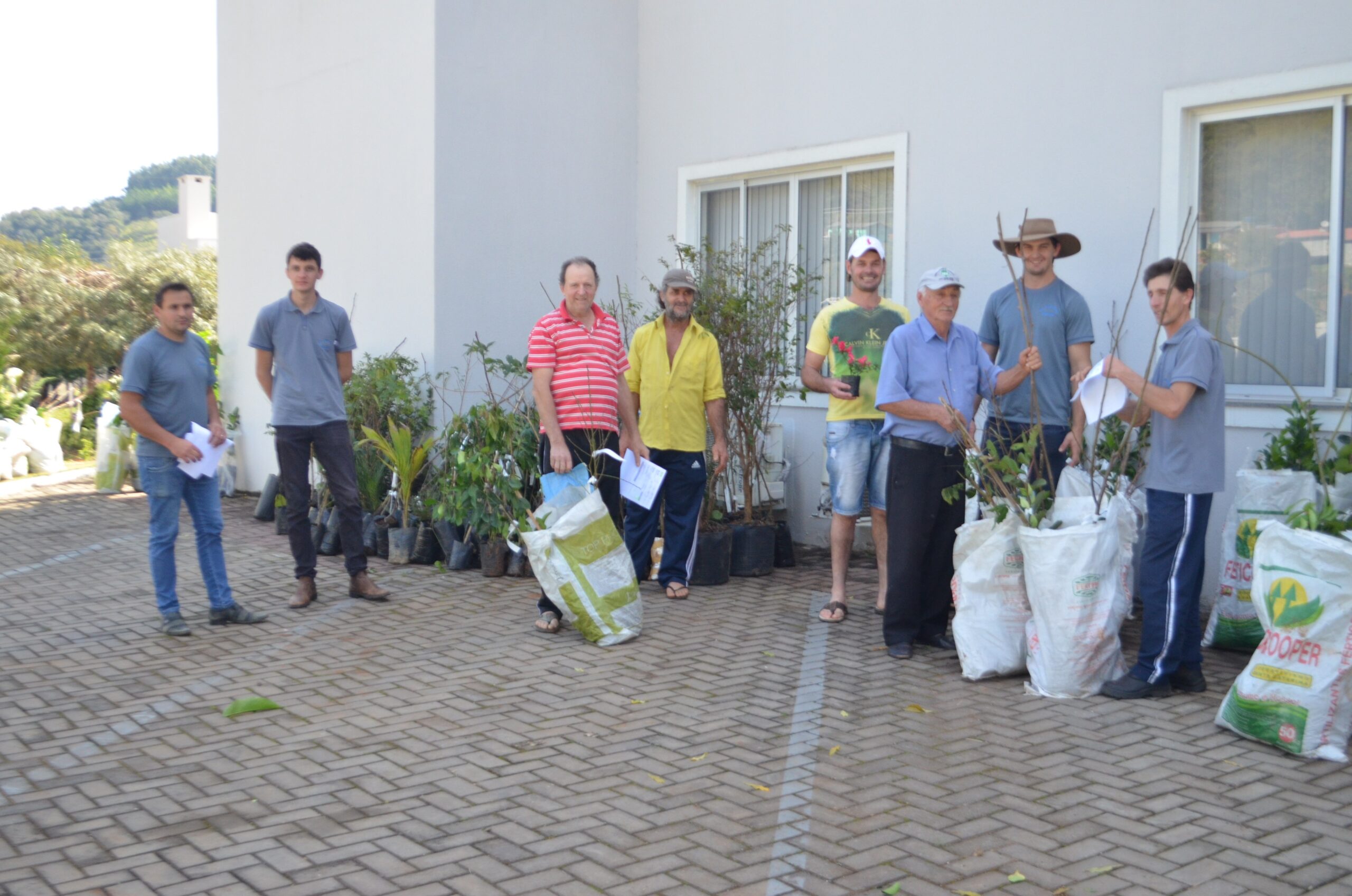 Leia mais sobre o artigo Realizada entrega de mudas frutíferas e ornamentais em Formosa do Sul