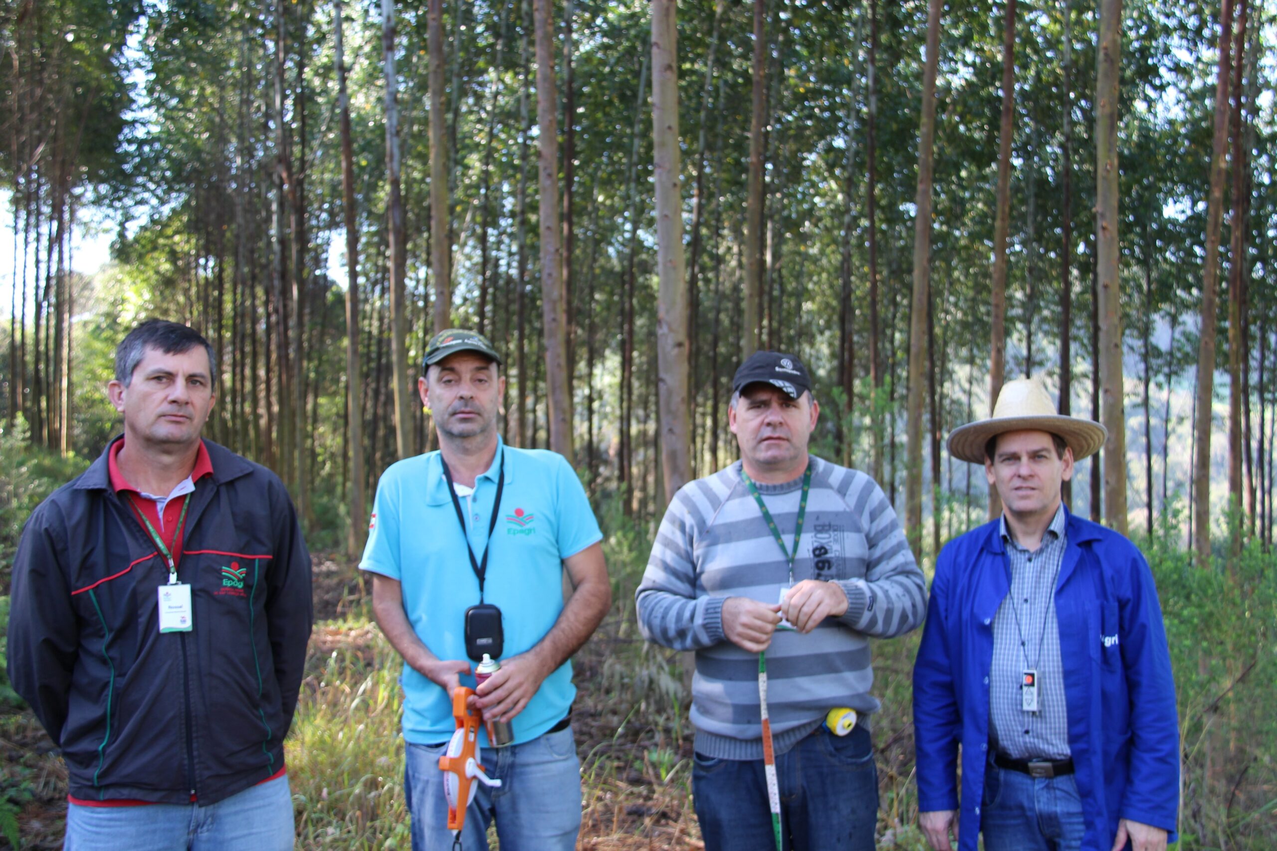 Leia mais sobre o artigo Equipe da Epagri realiza avaliação de espécies florestais