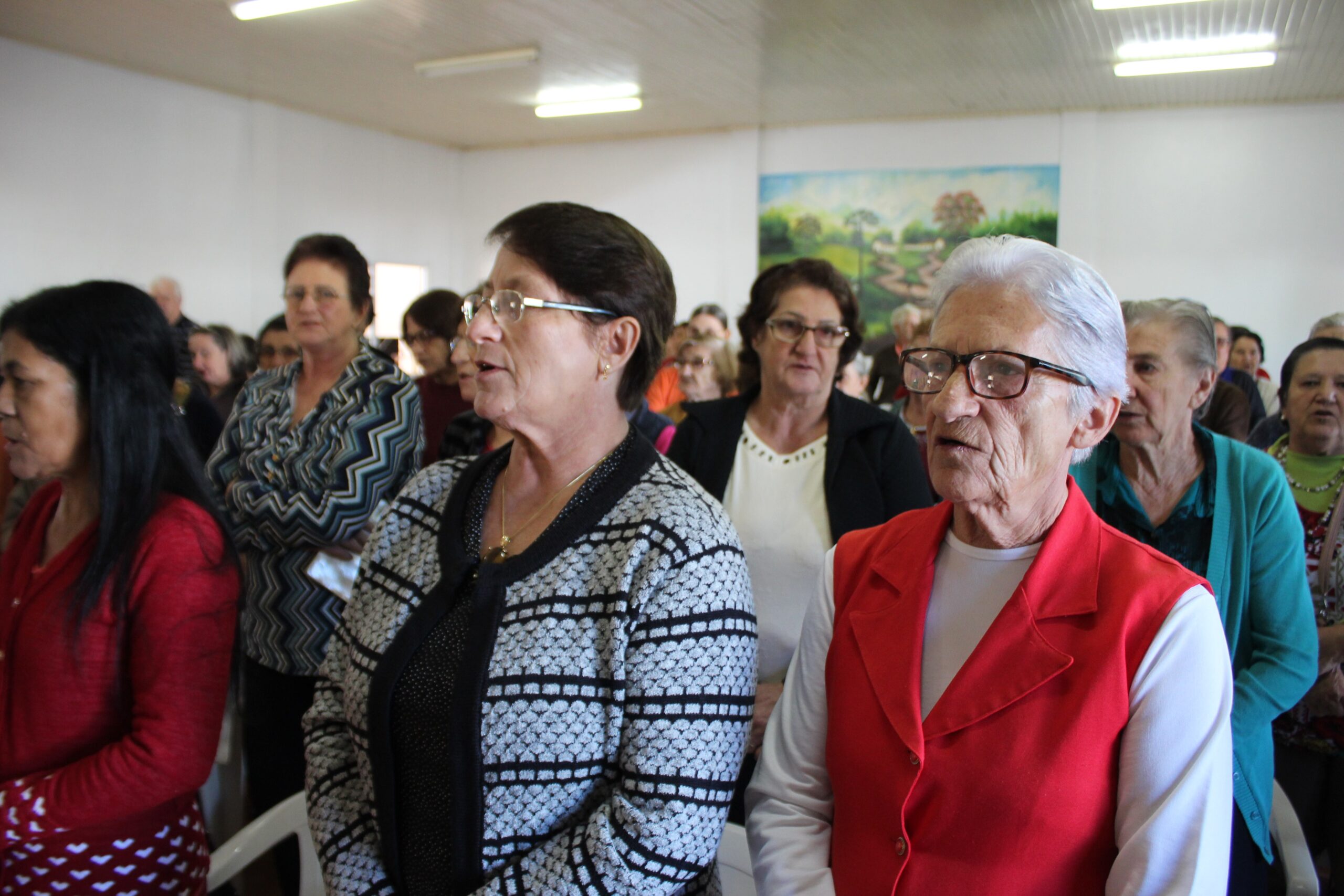 Leia mais sobre o artigo Terceira idade de Santiago do Sul teve evento alusivo ao Dia das Mães
